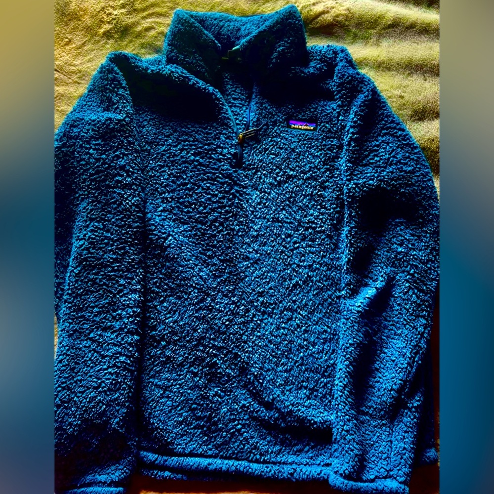 Blue Patagonia Zip-Up Fleece - L